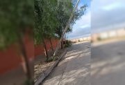 B° Campo Contreras: alertan por un poste a punto de caer