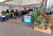 Por el fallecimiento de una feriante, la carpa del INTA en la Feria Artesanal permanece cerrada