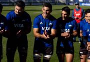 El alocado festejo de Los Pumas en Santiago por el triunfo de Argentina sobre Inglaterra