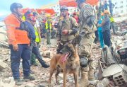 “Mi perro me lamía cuando me desmayaba”: un niño relató cómo logró sobrevivir 14 días bajo los escombros