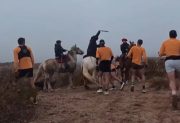 VIDEO. Jinetes atacaron a rebencazos a runners durante una carrera
