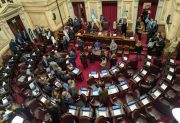 EN VIVO | Ley de Tierras: el Senado debate eliminar las restricciones para que extranjeros compren campos en Argentina
