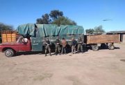 Seis toneladas de soja robadas en Santiago del Estero: dos demorados y una investigación en marcha