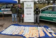 Causa tours de compras: excarcelan a siete policías federales detenidos