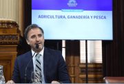 Quién es el senador libertario que dirige una empresa dedicada a vender tierras a extranjeros