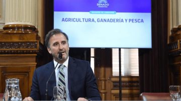 Quién es el senador libertario que dirige una empresa dedicada a vender tierras a extranjeros