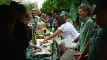 Ley de tierras: convocan a un “feriazo” en Plaza Sarmiento durante el tratamiento de la reforma
