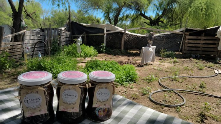 Día de la Pachamama | En diálogo con la Madre Tierra, sentires y pensares del “buen vivir”