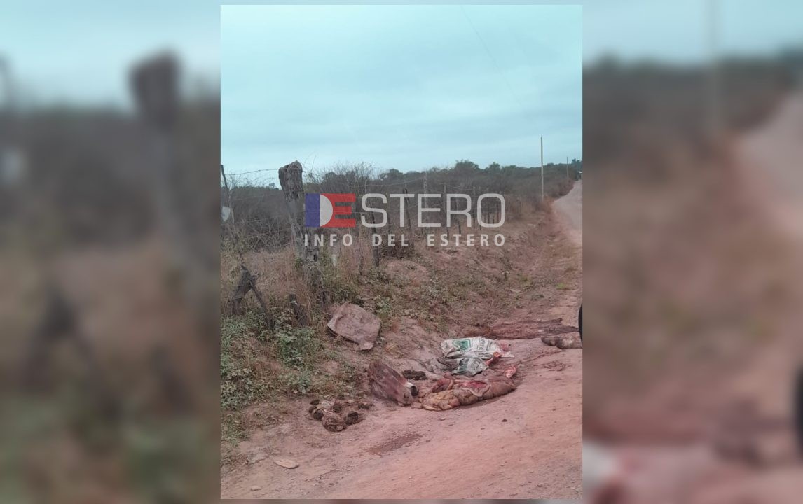 Aparecieron restos de caballos en caminos vecinales y temen que se esté comercializando la carne