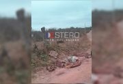 Aparecieron restos de caballos en caminos vecinales y temen que se esté comercializando la carne