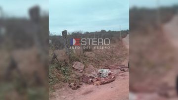 Aparecieron restos de caballos en caminos vecinales y temen que se esté comercializando la carne
